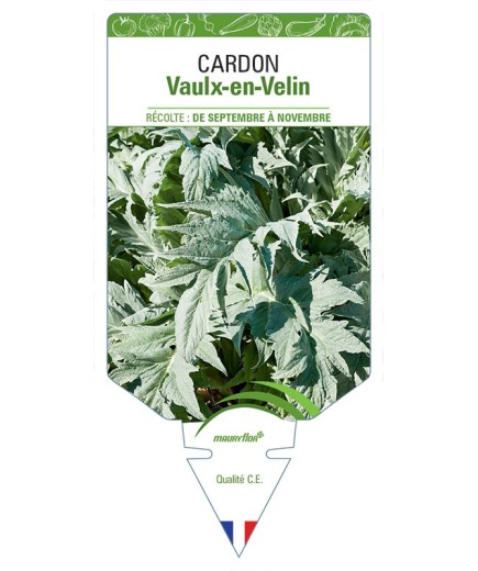 CARDON VAULX-EN-VELIN