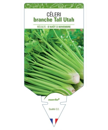 CÉLERI BRANCHE TALL UTAH