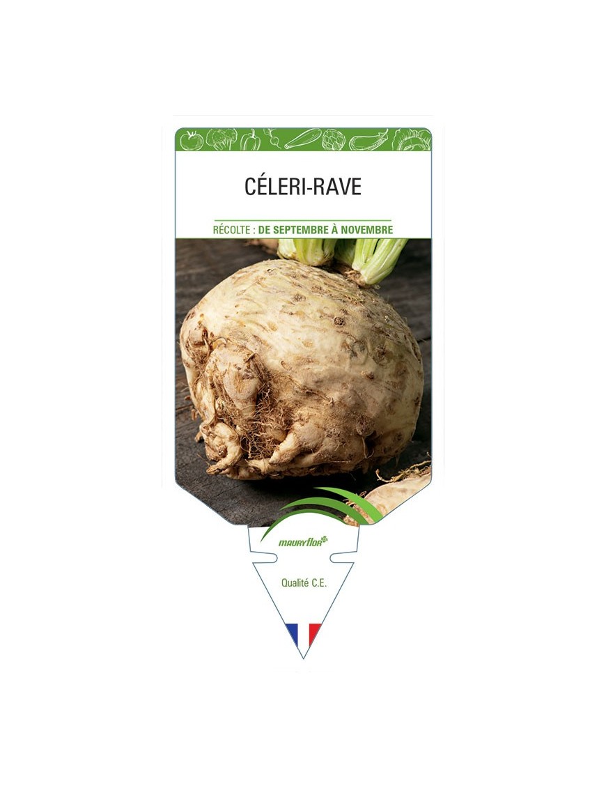 CÉLERI-RAVE