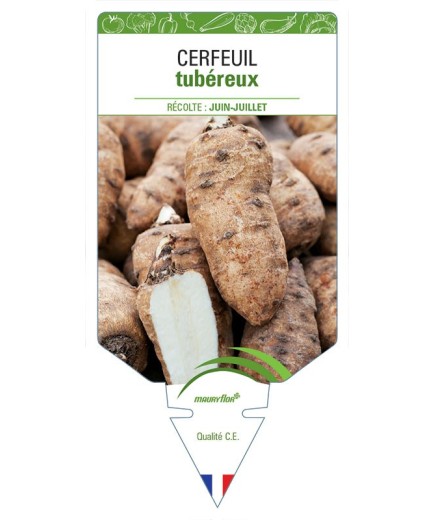CERFEUIL TUBÉREUX