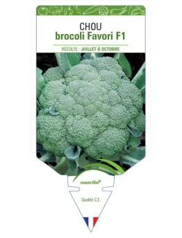 CHOU BROCOLI FAVORI F1