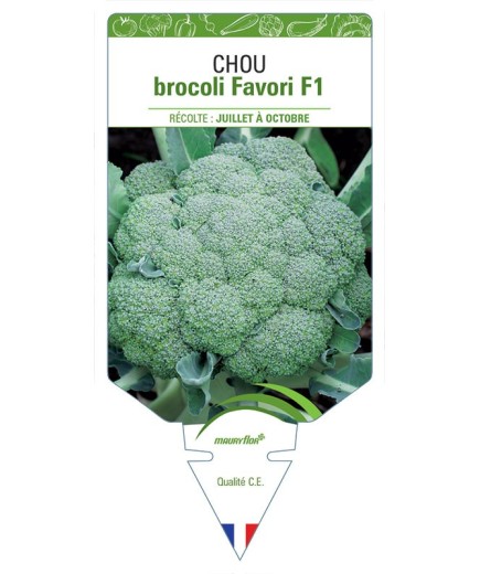CHOU BROCOLI FAVORI F1