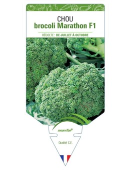 CHOU BROCOLI MARATHON F1