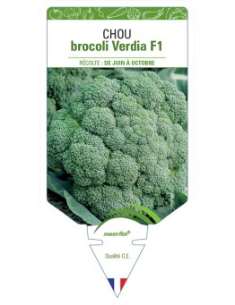 CHOU BROCOLI VERDIA F1