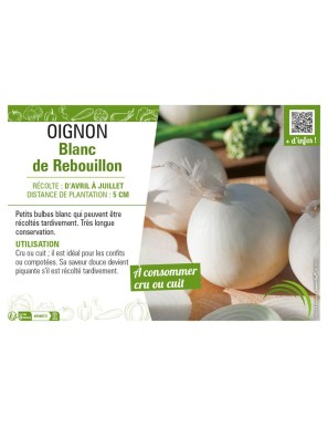 OIGNON BLANC DE REBOUILLON