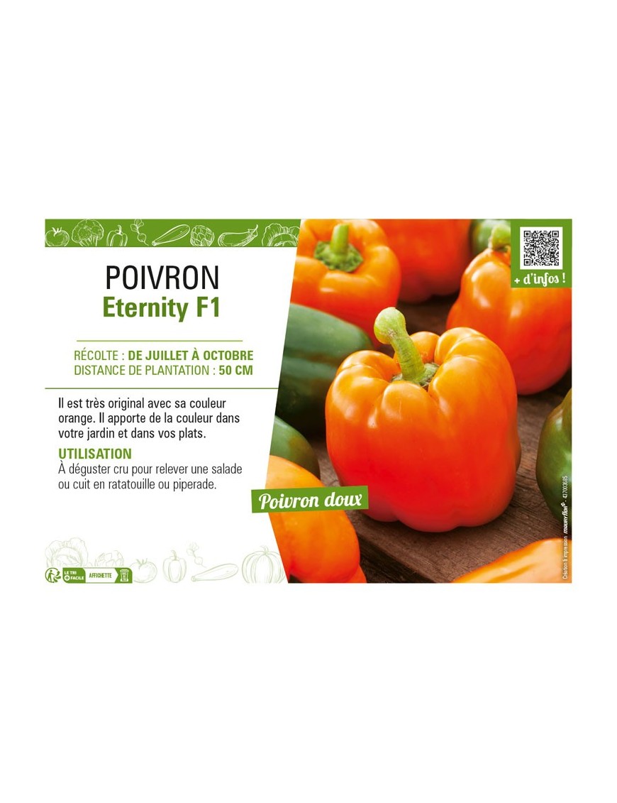 POIVRON Eternity F1