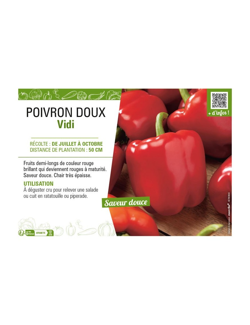 POIVTON doux Vidi
