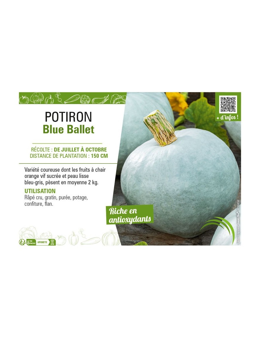 POTIRON BLUE BALLET