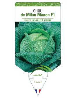 CHOU DE MILAN MANON F1
