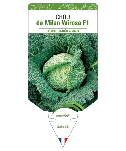 CHOU DE MILAN WIROSA F1