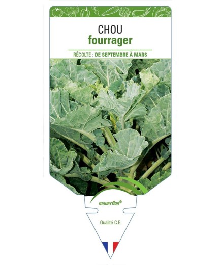 CHOU FOURRAGER