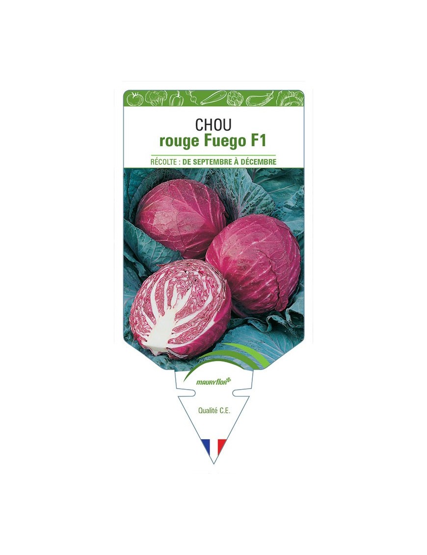 CHOU ROUGE FUEGO F1