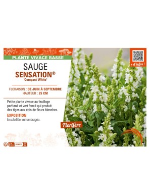SAUGE SENSATION® Compact White