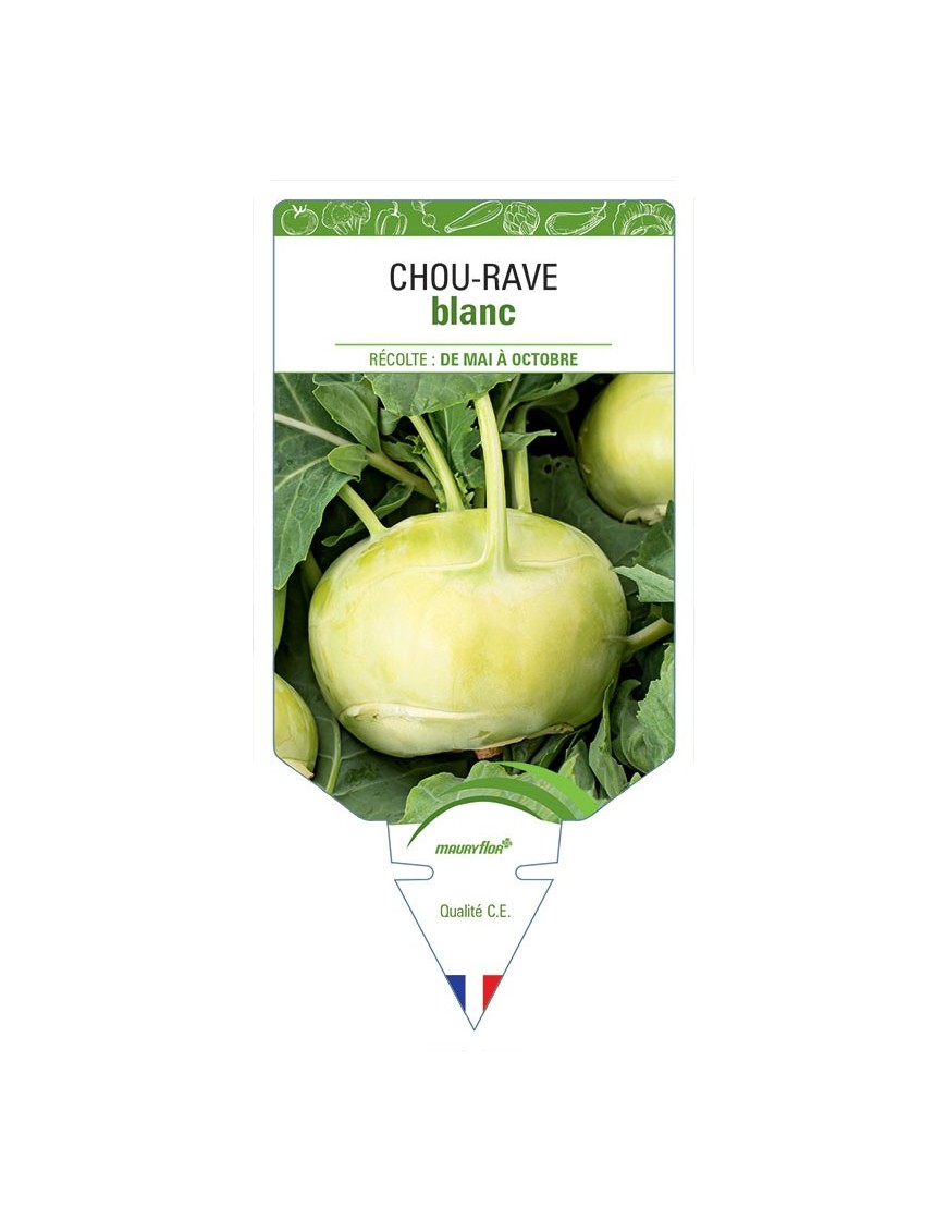 CHOU-RAVE BLANC
