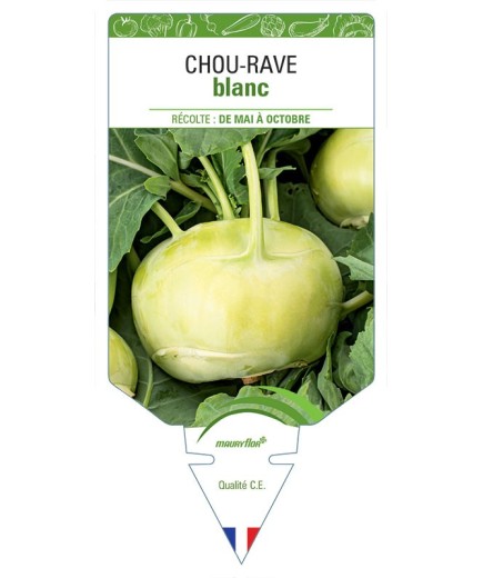 CHOU-RAVE BLANC