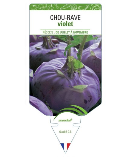 CHOU-RAVE VIOLET