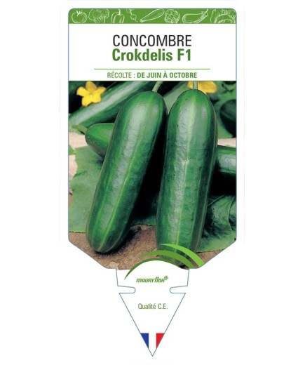 CONCOMBRE CROKDELIS F1