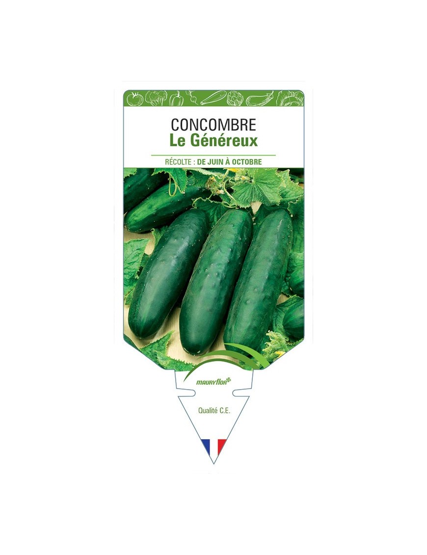 CONCOMBRE LE GÉNÉREUX