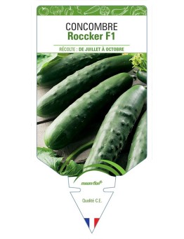 CONCOMBRE ROCCKER F1
