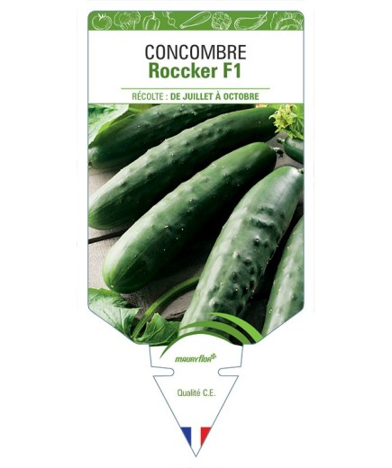 CONCOMBRE ROCCKER F1