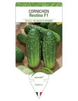CORNICHON RESTINA F1