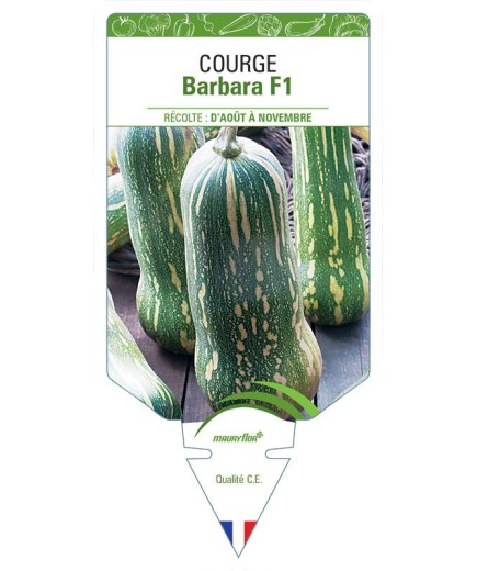 COURGE BARBARA F1