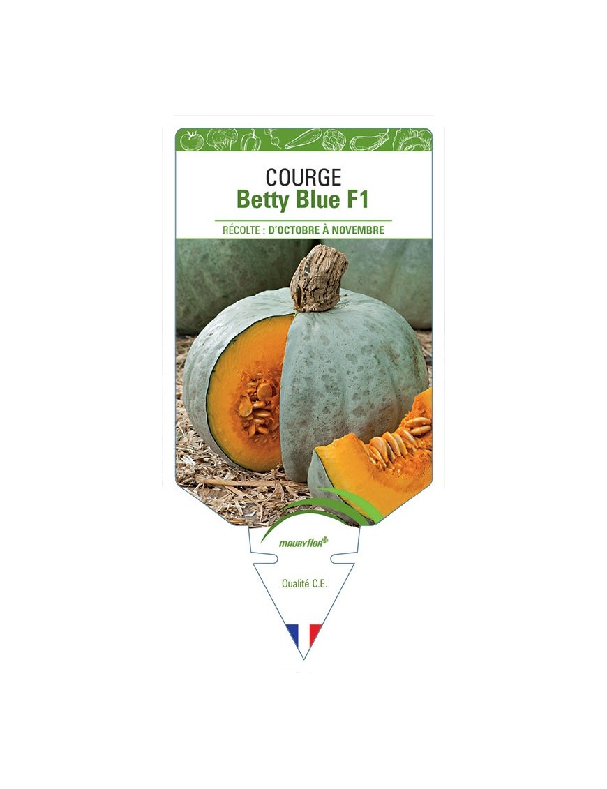 COURGE BETTY BLUE F1