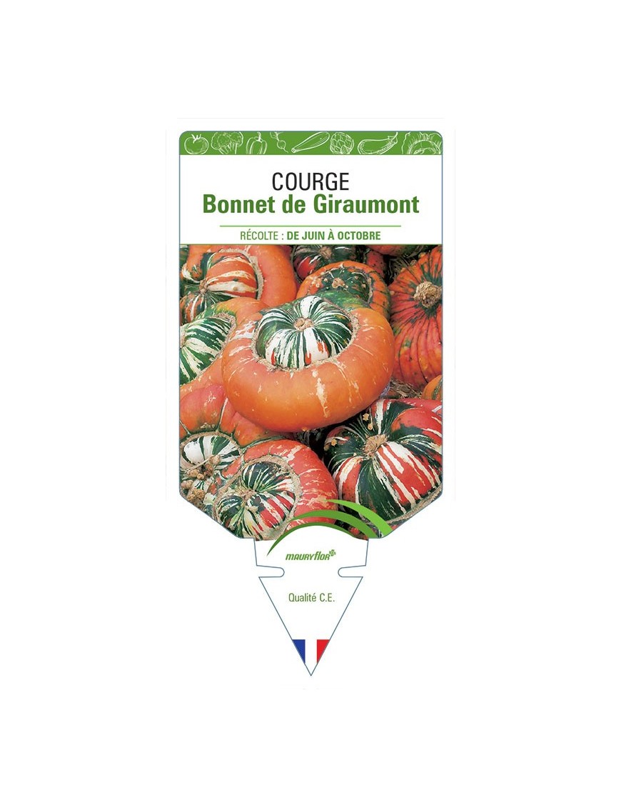 COURGE BONNET DE GIRAUMONT