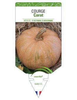 COURGE CARAT