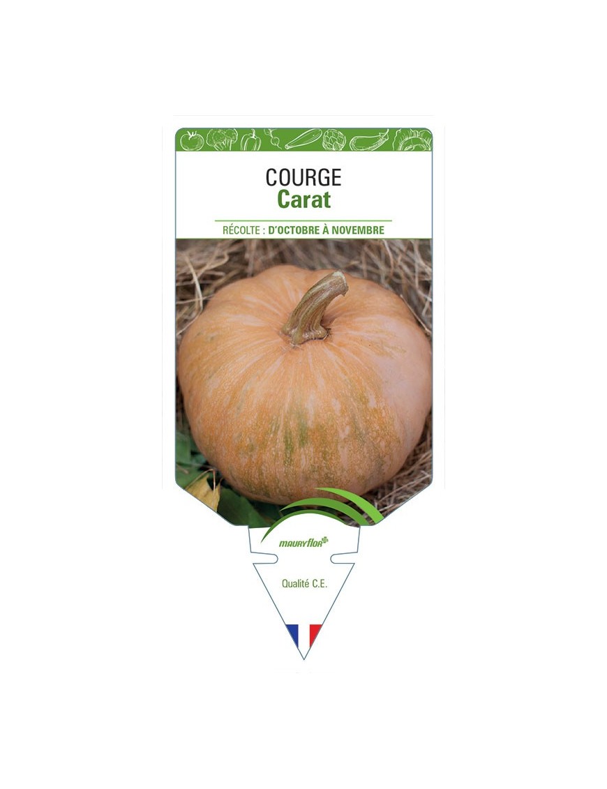 COURGE CARAT