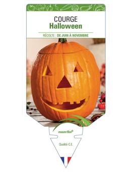 COURGE HALLOWEEN