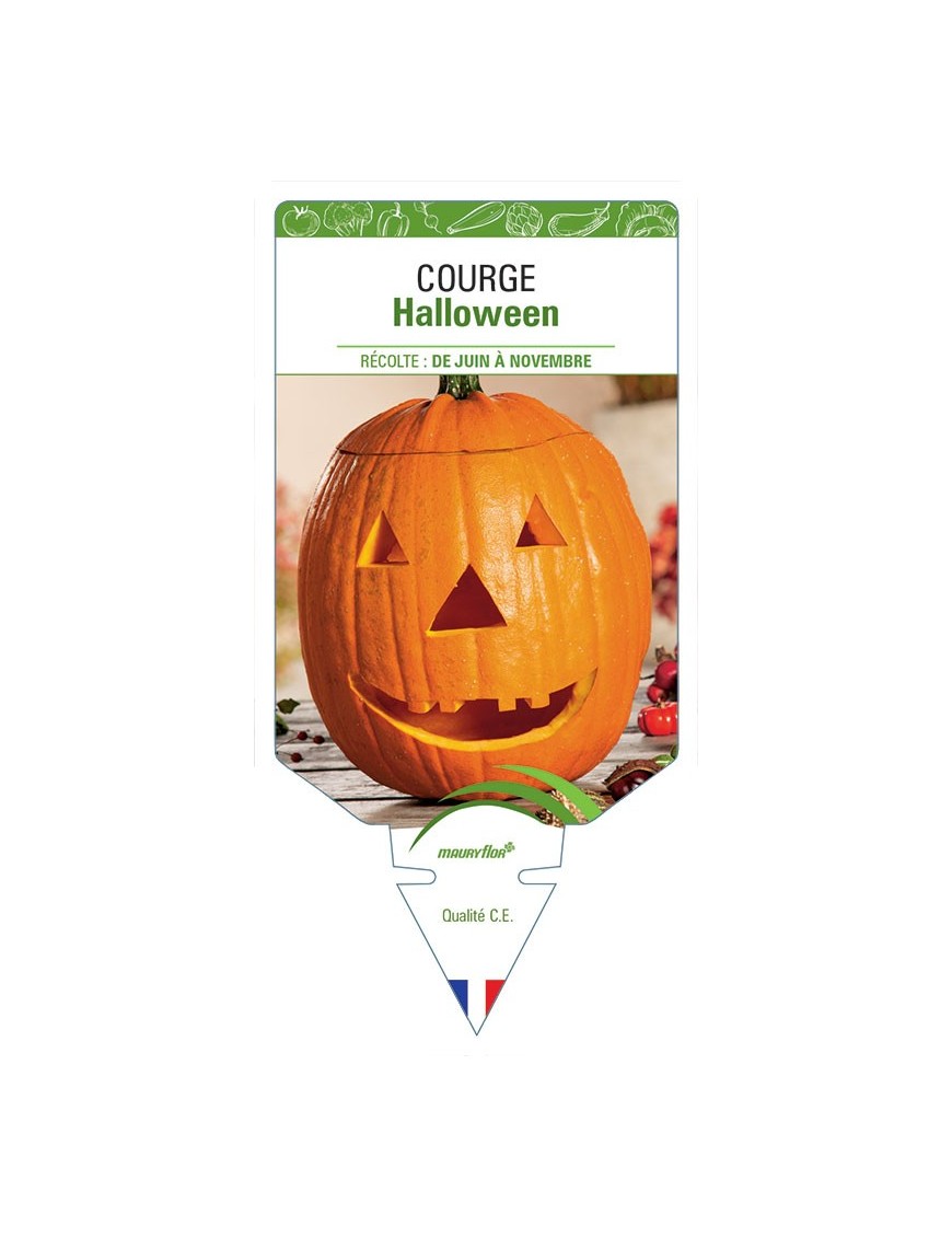 COURGE HALLOWEEN