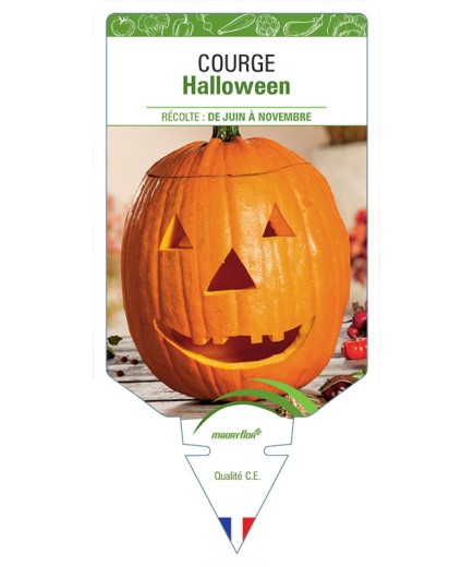 COURGE HALLOWEEN