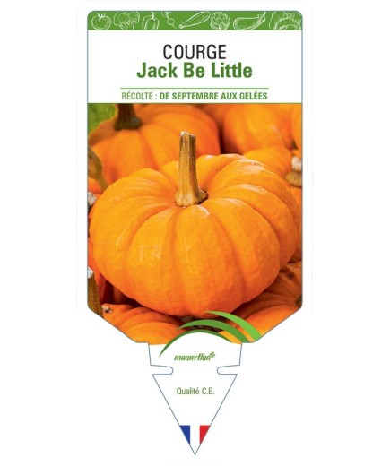 COURGE JACK BE LITTLE