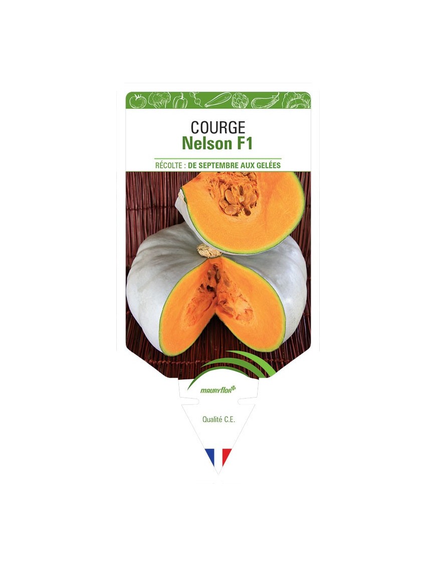 COURGE NELSON F1