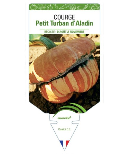 COURGE PETIT TURBAN D'ALADIN