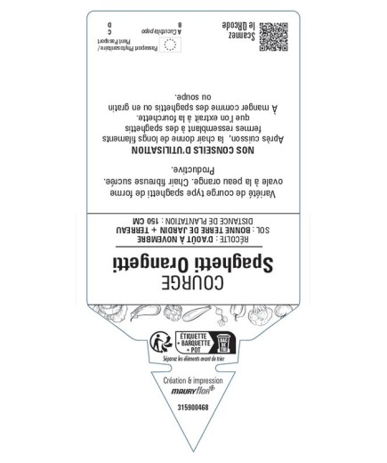 COURGE SPAGHETTI ORANGETTI