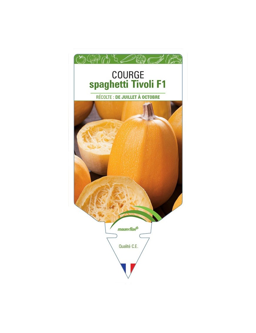 COURGE SPAGHETTI TIVOLI F1