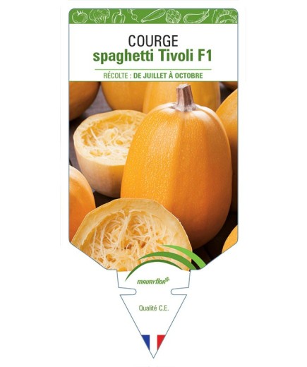 COURGE SPAGHETTI TIVOLI F1