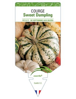 COURGE SWEET DUMPLING