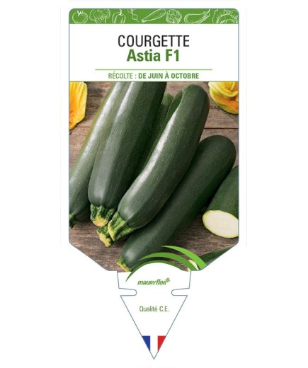 COURGETTE ASTIA F1