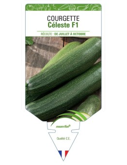 COURGETTE CÉLESTE F1