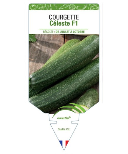 COURGETTE CÉLESTE F1