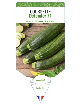 COURGETTE DEFENDER F1