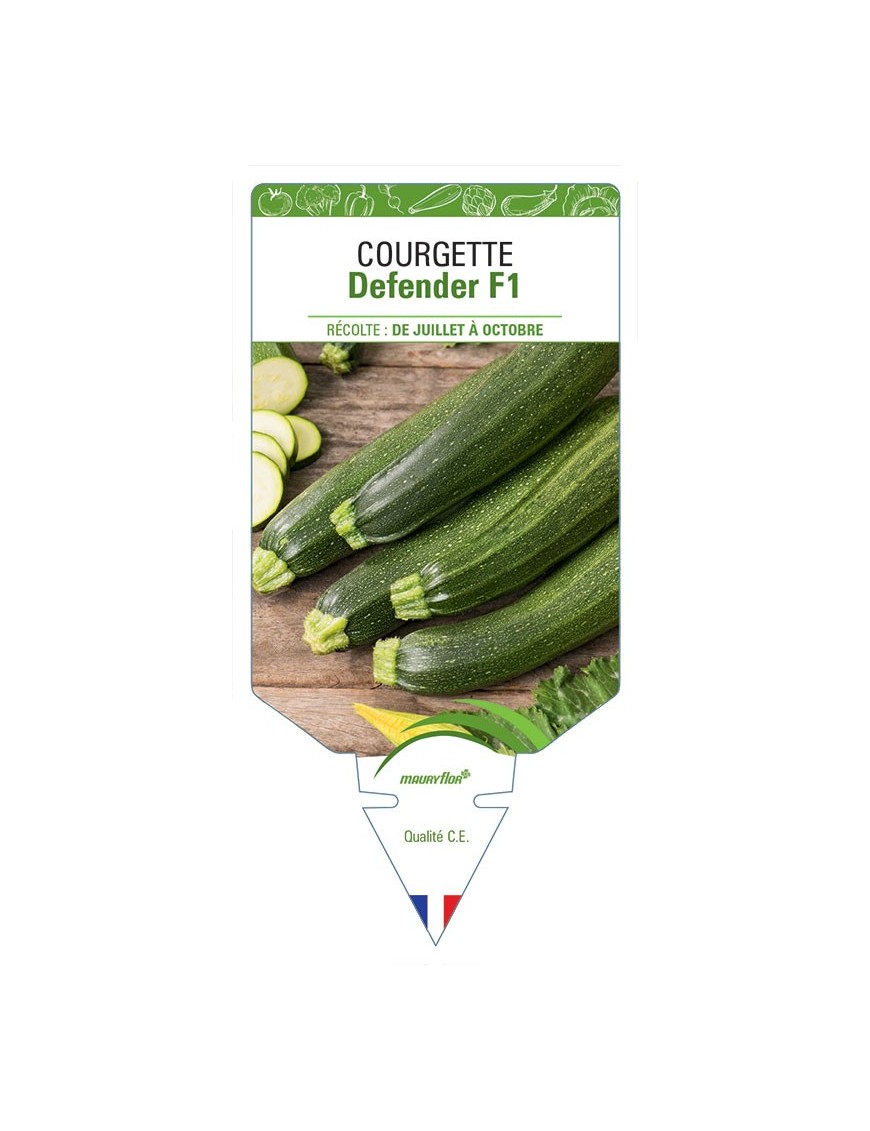 COURGETTE DEFENDER F1