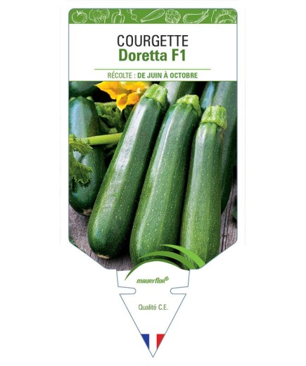 COURGETTE DORETTA F1