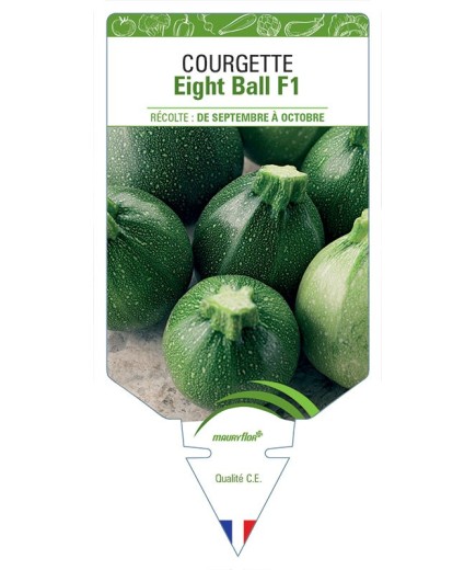 COURGETTE EIGHT BALL F1