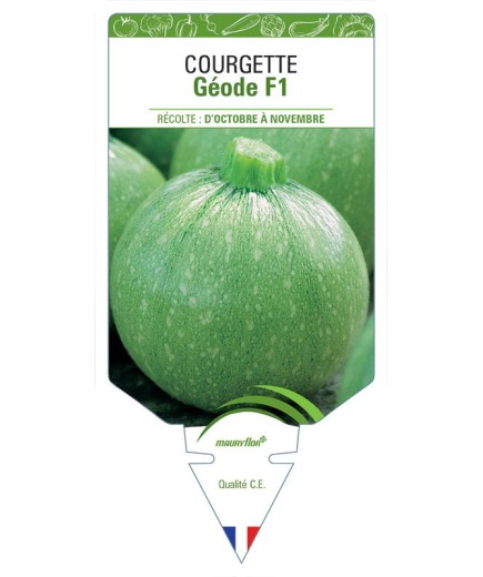 COURGETTE GÉODE F1