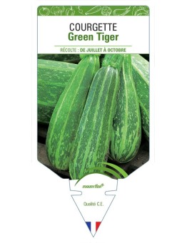 COURGETTE GREEN TIGER