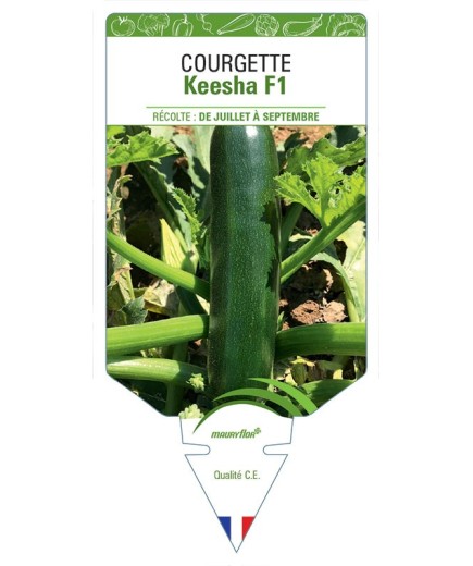 COURGETTE KEESHA F1